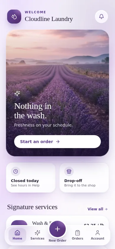 Laundry Service app design model preview